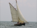 2007_3074