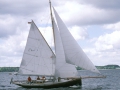 Ana2004-1